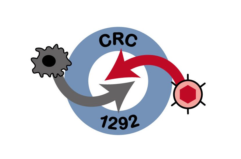 We joined SFB1292: Building the TPQ1 Technology Platform